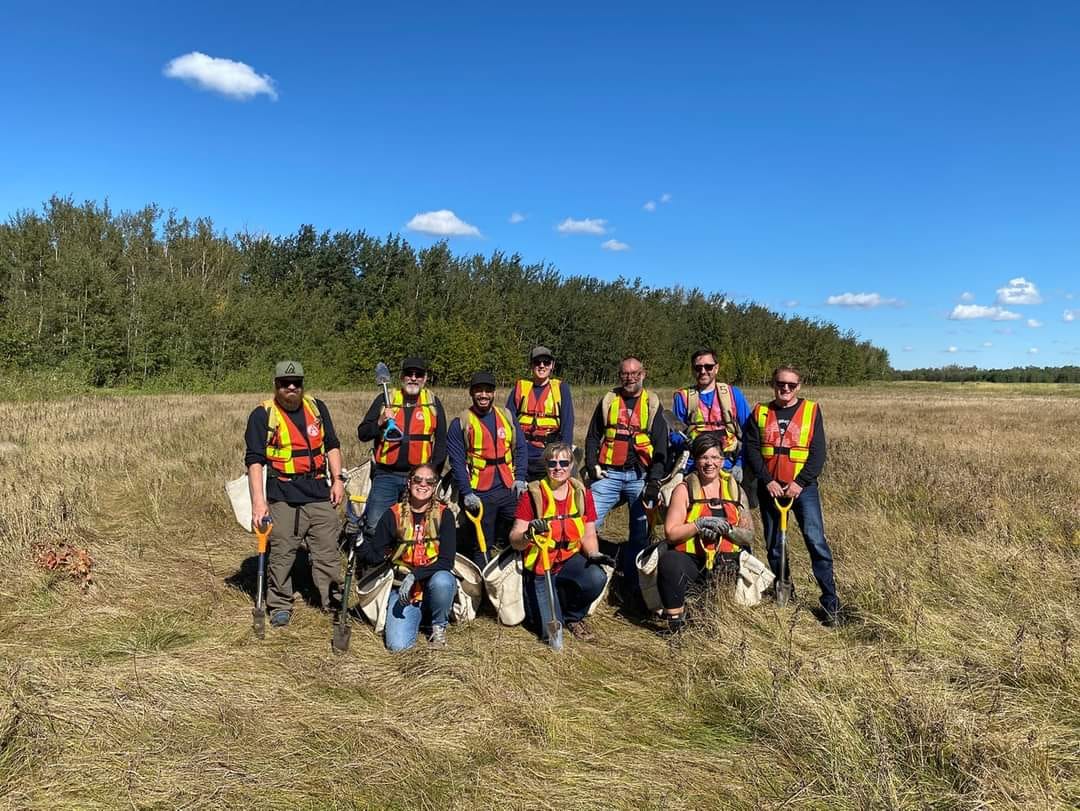 Tree planting reminds me why you shouldn’t quit your day job!